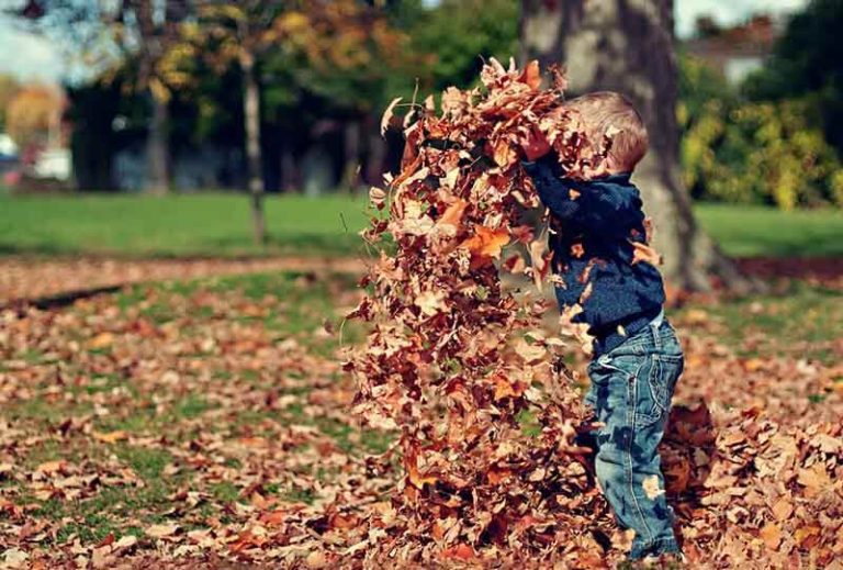 公園充滿感覺統合遊戲，小孩正在玩落葉