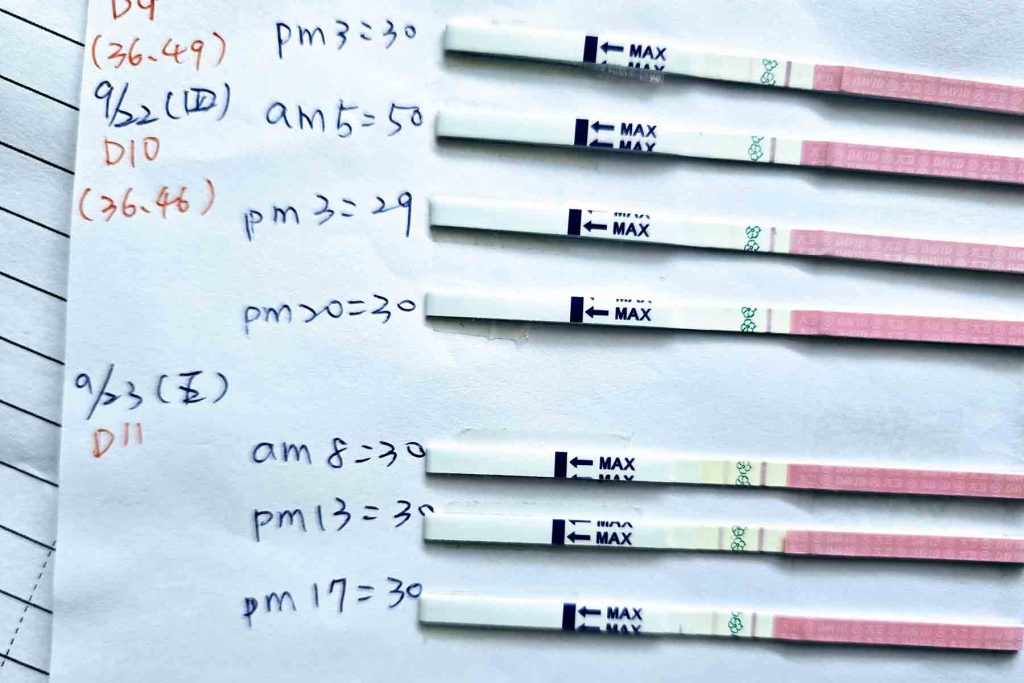排卵試紙可幫助自然懷孕機率，當顯示兩條線，表示即將排卵
